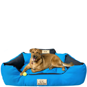 KingDog Mėlynas Guolis