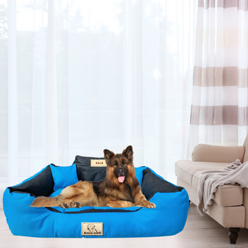 KingDog Mėlynas Guolis